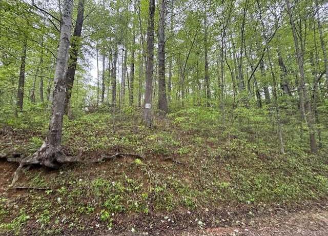 Property at 26-30 Fontana Frst, Robbinsville (graham), NC 28771