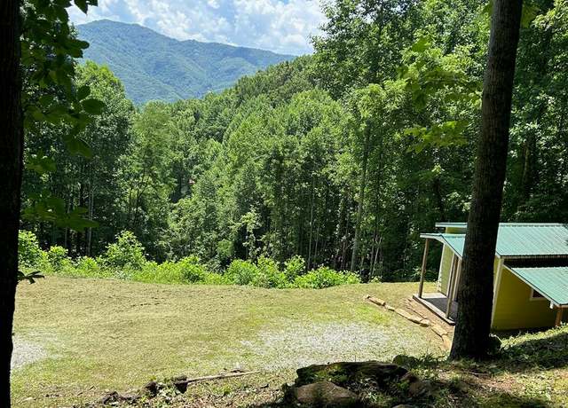 Property at 0 Pigeon Creek Rd, Bryson City, NC 28713