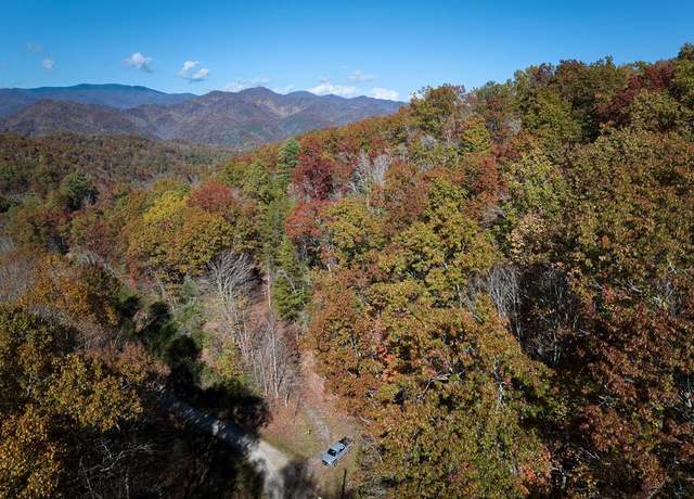 Property at 00 Black Frst, Bryson City, NC 28713