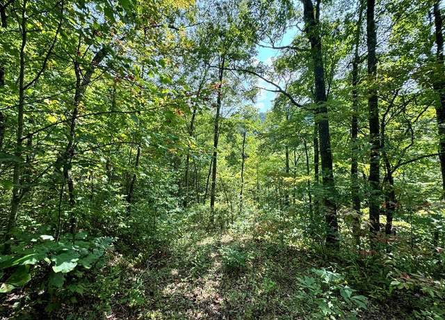 Property at Lot 34 Black Walnut St, Bryson City, NC 28713