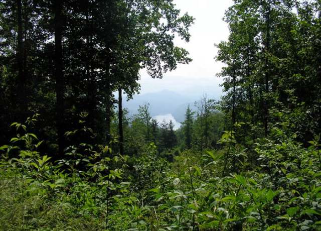 Property at Lot 38 Fontana Trace Dr, Almond, NC 28702