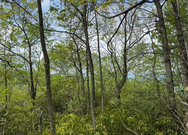Property at 0 Persimmion, Bryson City, NC 28713