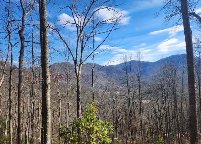 Property at TR 1,2 Long & Winding Rd, Sylva, NC 28779