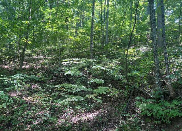 Property at Lot 334 High Ridge Rd. Section 10, Franklin, NC 28734