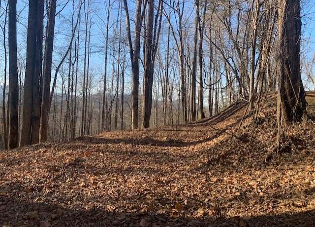 Property at F1 Biltmore Cir, Bryson City, NC 28713