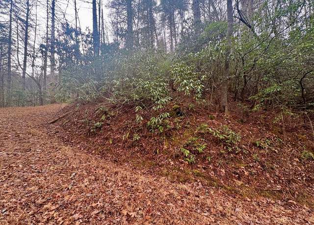 Property at Lot 7A&B Indian Rock Ln, Bryson City, NC 28713