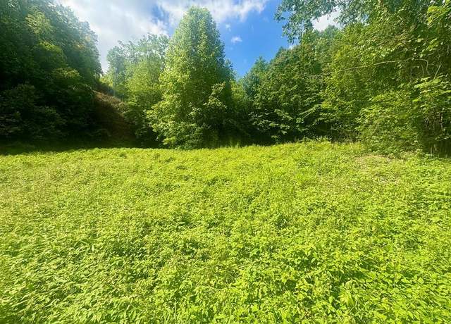 Property at 321 Mount Kys, Bryson City, NC 28713