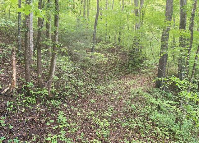 Property at TBD Charles Sondheimer Rd, Franklin, NC 28734
