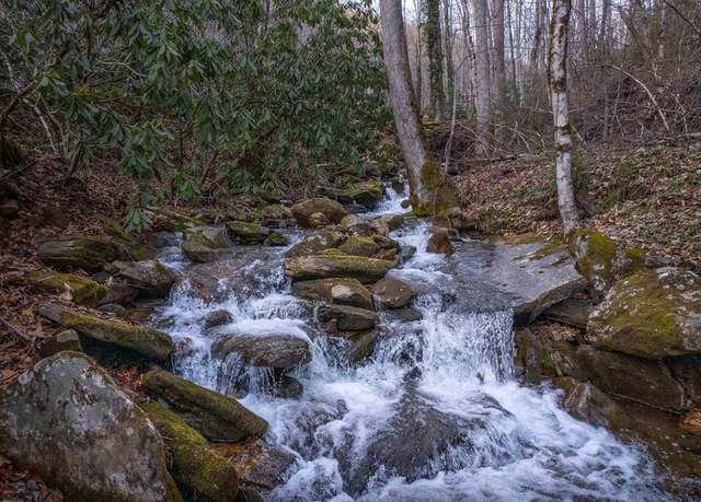 Property at 000 Herron Branch Rd, Whittier, NC 28789