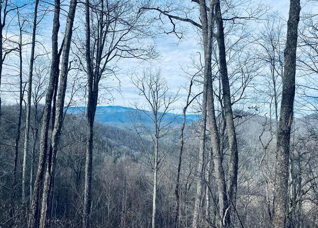 Property at 0 Carpenter Rd, Bryson City, NC 28713