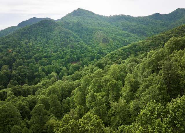 Property at 0 Pauline Dr, Bryson City, NC 28713