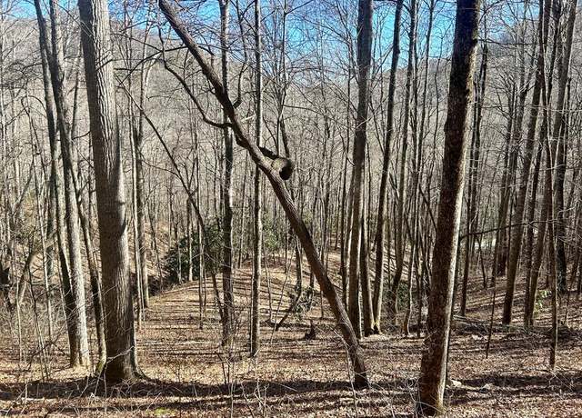 Property at 52 & 53 Coppermine Rdg, Whittier, NC 28789