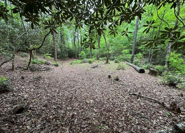 Property at 00 Diamond Creek Rd, NC 28747