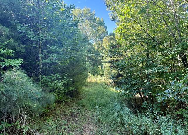 Property at 4 Mom's Falls Rd, Topton, NC 28781