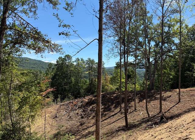 Property at Lot 8 Miners Rdg, Bryson City, NC 28713