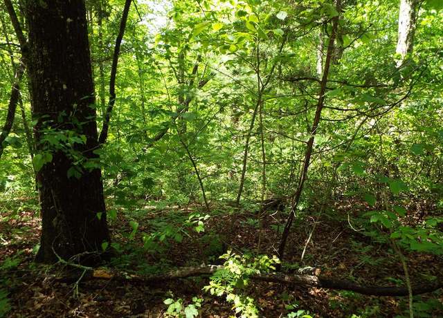 Property at 000 Mockingbird Ln, Sylva, NC 28779