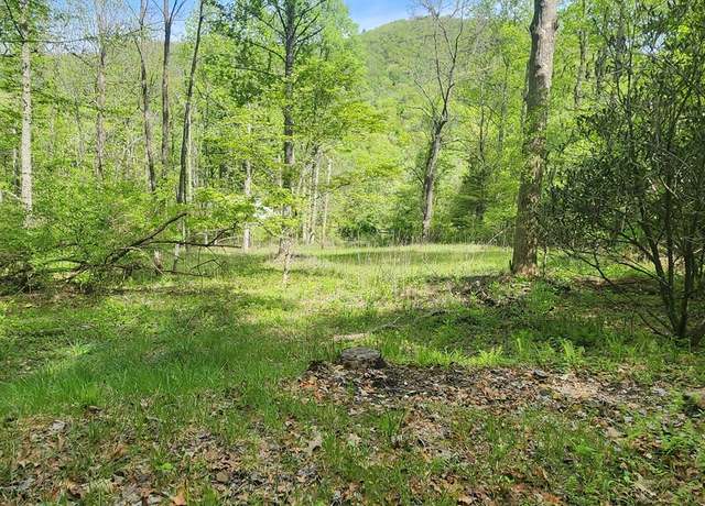 Property at 117 Holly Ln, Franklin, NC 28734
