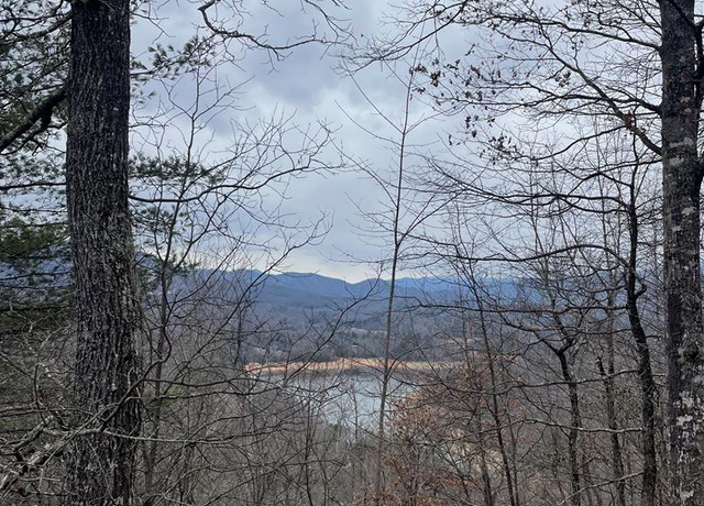 Property at 100-11 Ridge View Dr, Bryson City, NC 28713