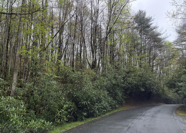 Property at Lot 9 Holly Rd, Sapphire, NC 28774