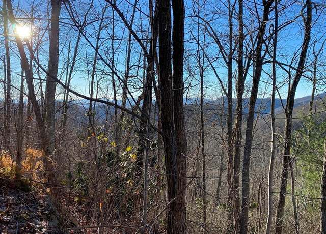 Property at 0 Hickory Nut Trl, Sylva, NC 28779