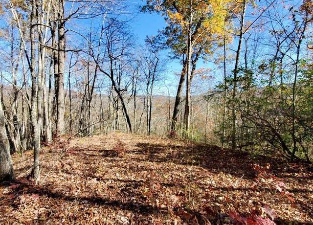 Property at Lot 101 Mountain Vis, Bryson City, NC 28713