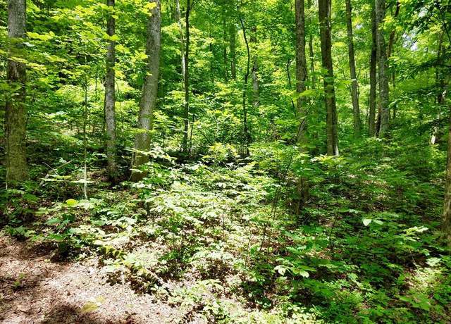 Property at Lot 102 Mountain Vis, Bryson City, NC 28713