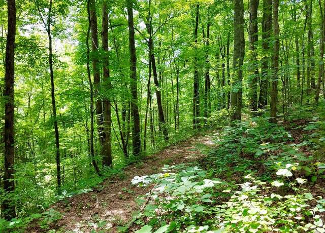 Property at Lot 103 Mountain Vis, Bryson City, NC 28713