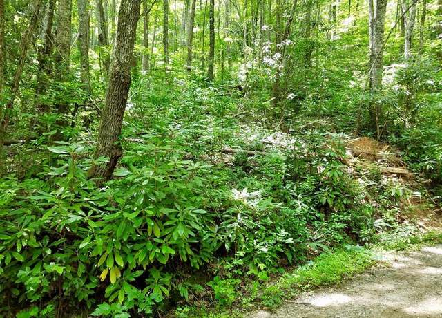 Property at Lot 105 Mountain Vis, Bryson City, NC 28713