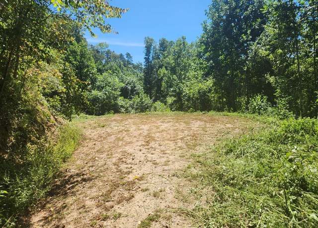 Property at 00 Lot 14 Cherokee Blf, Whittier, NC 28786