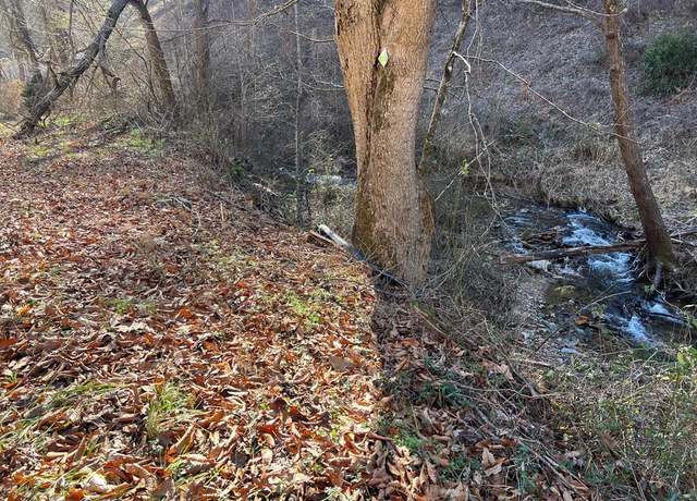 Property at 0000 Pumpkintown, Sylva, NC 28779