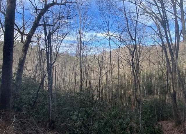 Property at Lot D-3 Briggs Cove Rd, Robbinsville (graham), NC 28771