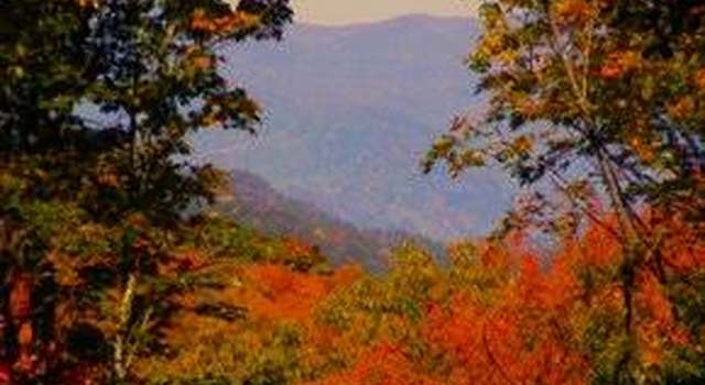 Photo of Lot 24 Catspaw Rd, Cullowhee, NC 28723