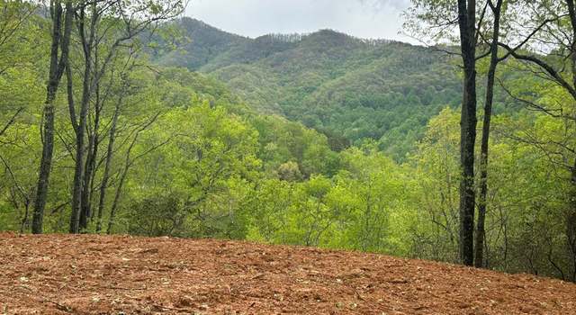 Photo of Lot 8 Blackberry Bnd, Bryson City, NC 28713