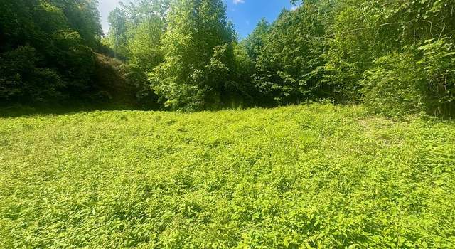Photo of 321 Mount Kys, Bryson City, NC 28713