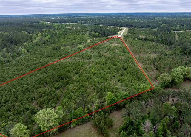 Property at TBD Calhoun Ct, Lovelady, TX 75851