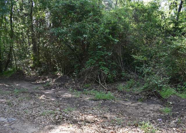Property at TBD L 10 Three Pts, Frankston, TX 75763