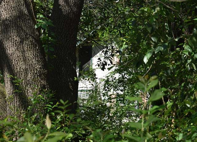 Property at 10946 Clover Ln, Frankston, TX 75763