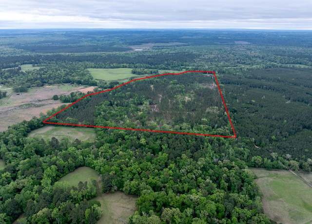 Property at TBD County Road 1170, Kennard, TX 75847