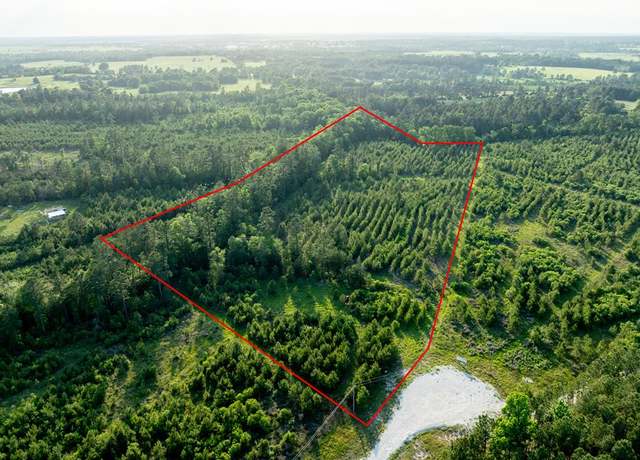 Property at Tr 171 Calhoun Ct, Lovelady, TX 75851