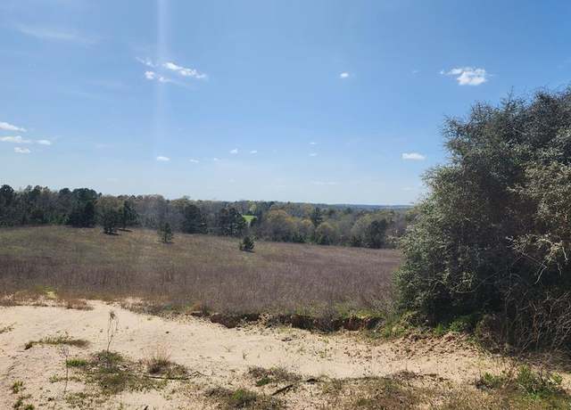 Property at 0 An County Road 441, Palestine, TX 75803