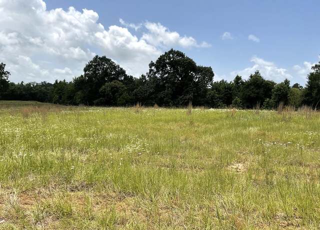Property at 0 Lee Rd, Murchison, TX 75778