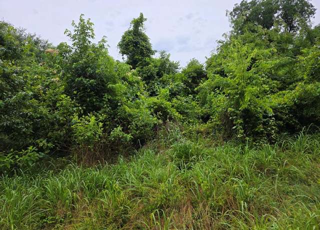 Property at TBD An County Rd 3471, Palestine, TX 75803