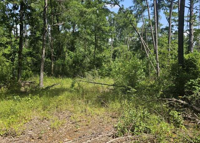 Property at 0 Frontier, Flint, TX 75762
