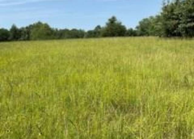 Property at 0 An County Road 2610, Tennessee Colony, TX 75861