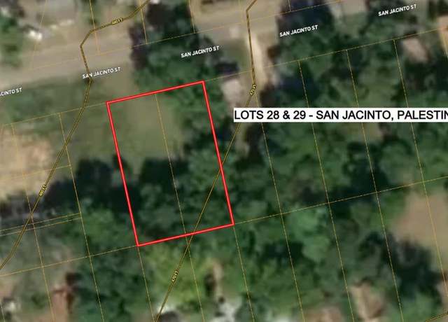 Property at 28 & 29 San Jacinto, Palestine, TX 75801