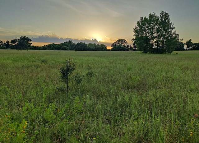 Property at TBD Off Cr 2218, Tennessee Colony, TX 75861