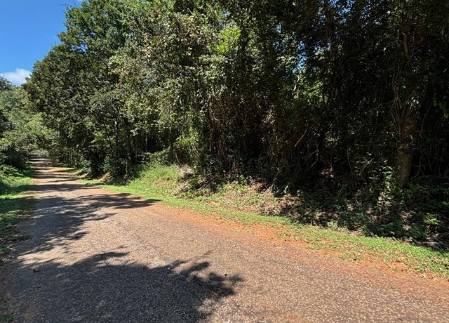 Property at 0 Cook, Palestine, TX 75801