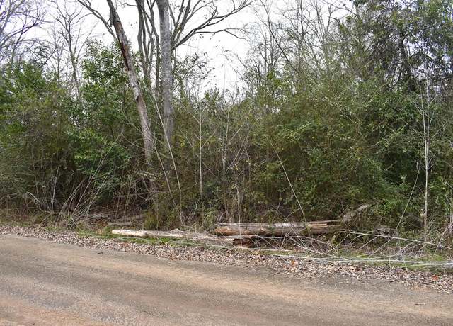 Property at 0 Eilenstein St, Palestine, TX 75801