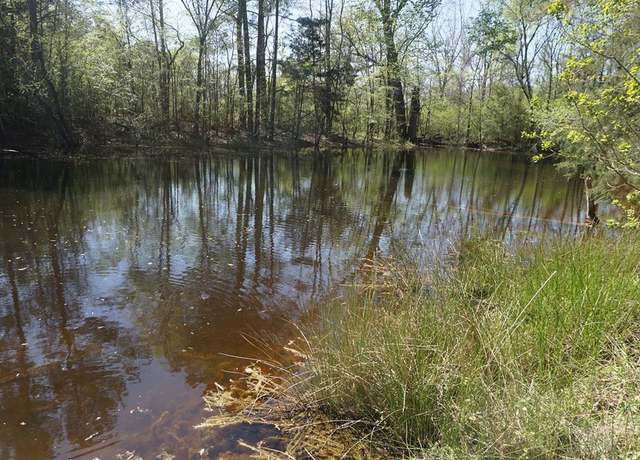 Property at 0 Cr 1870, Grapeland, TX 75844