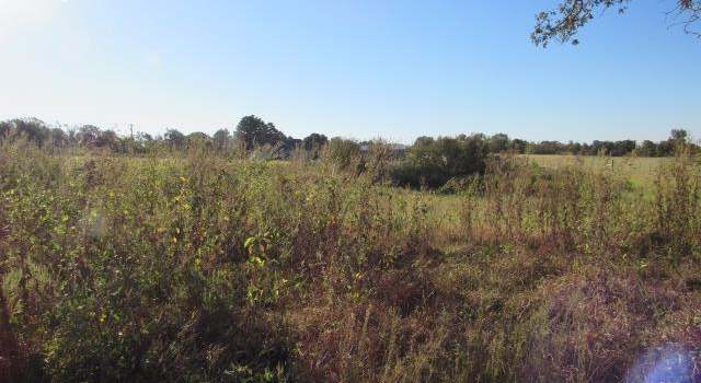 Photo of Lot 4 An County Road 2502, Tennessee Colony, TX 75861